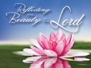 Reflecting the Beauty of the Lord