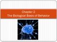 Chapter%202%20The%20Biological%20Basis%20of%20Behavior PowerPoint PPT Presentation