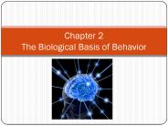 Chapter%202%20The%20Biological%20Basis%20of%20Behavior