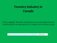 Forestry Industry in Canada PowerPoint PPT Presentation