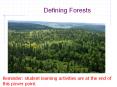 Defining Forests PowerPoint PPT Presentation