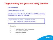 Target tracking and guidance using particles