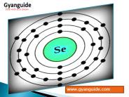 Selenium Training Institute In Marathahalli BTM Layout Bangalore