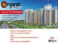 Rise Group Organic Homes NH 24 Ghaziabad Call@ 9560090037