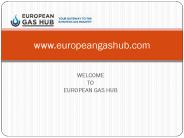 European Gas Hub - Online Information Platform