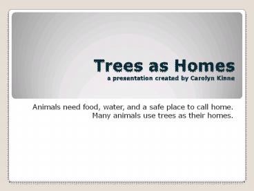 Trees as Homes a presentation created by Carolyn Kinne