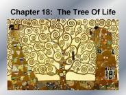 Chapter%2018:%20The%20Tree%20Of%20Life