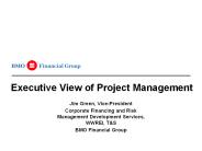 Executive View of Project Management