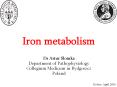 Iron metabolism PowerPoint PPT Presentation