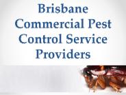 Brisbane Commercial Pest Control Service Providers