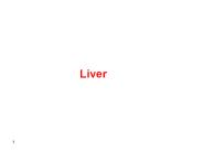Liver