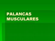 PALANCAS MUSCULARES