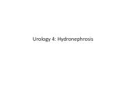 Urology%204:%20Hydronephrosis