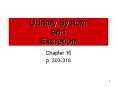 Urinary System and Excretion PowerPoint PPT Presentation