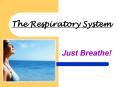 The%20Respiratory%20System PowerPoint PPT Presentation