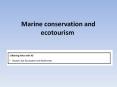 Marine conservation and ecotourism PowerPoint PPT Presentation