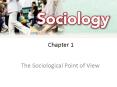 The Sociological Point of View PowerPoint PPT Presentation