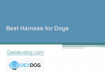 Best Harness for Dogs - Getdexdog.com