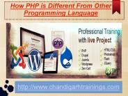 6 Week PHP Industrial Training in Chandigarh
