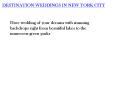 DESTINATION WEDDINGS IN NEW YORK CITY PowerPoint PPT Presentation