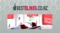 Venetian Blinds