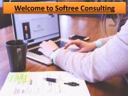 Welcome to Softree Consulting