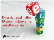 Dynamic pixel offers fabulous solutions at cost effective rates