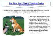 The Best Dog Shock Training Collar