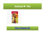 Dog Daycare Vista