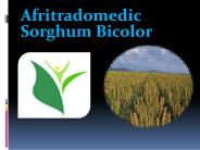 Afritradomedic Sorghum Bicolor
