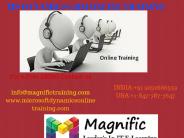 Microsoft Dynamics CRM Online Training in Canada|usa