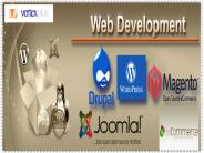 Quick tips for a better website design Service