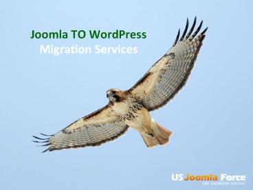 Search Engine Marketing