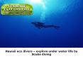 Hawaii eco divers – explore under water life by Scuba diving PowerPoint PPT Presentation