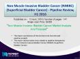 Non Muscle Invasive Bladder Cancer 2016 PowerPoint PPT Presentation