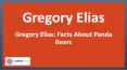 Gregory Elias and Intellectual Property Services PowerPoint PPT Presentation
