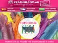 Feather.com.au Provide The Dreamcatcher In Online PowerPoint PPT Presentation