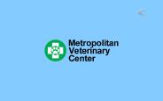 Pet Dental Care in Chicago - Metropolitan Veterinary Center