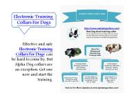 Electronic Training collars for dogs