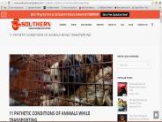 11 Pathetic Conditions Of Animals While Transporting