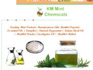 Essential Oils Manufacturers (2)