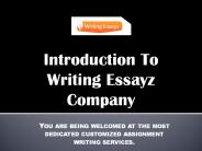 Writing Essayz