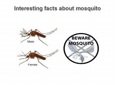 Some interesting facts about mosquito