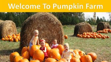Pick Your Own Pumpkins Hamilton – Merry Farms