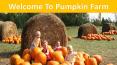 Pick Your Own Pumpkins Hamilton – Merry Farms PowerPoint PPT Presentation