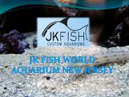 JK Fish World - Aquarium New Jersey