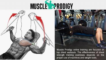 Building Strong Legs