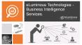 Business Intelligence Services | Business Intelligence Consulting PowerPoint PPT Presentation