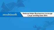 Hadoop Helps Businesses Leverage Large and Big Data Sets