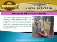 Tree Service in Dallas|Robertson Tree Service PowerPoint PPT Presentation